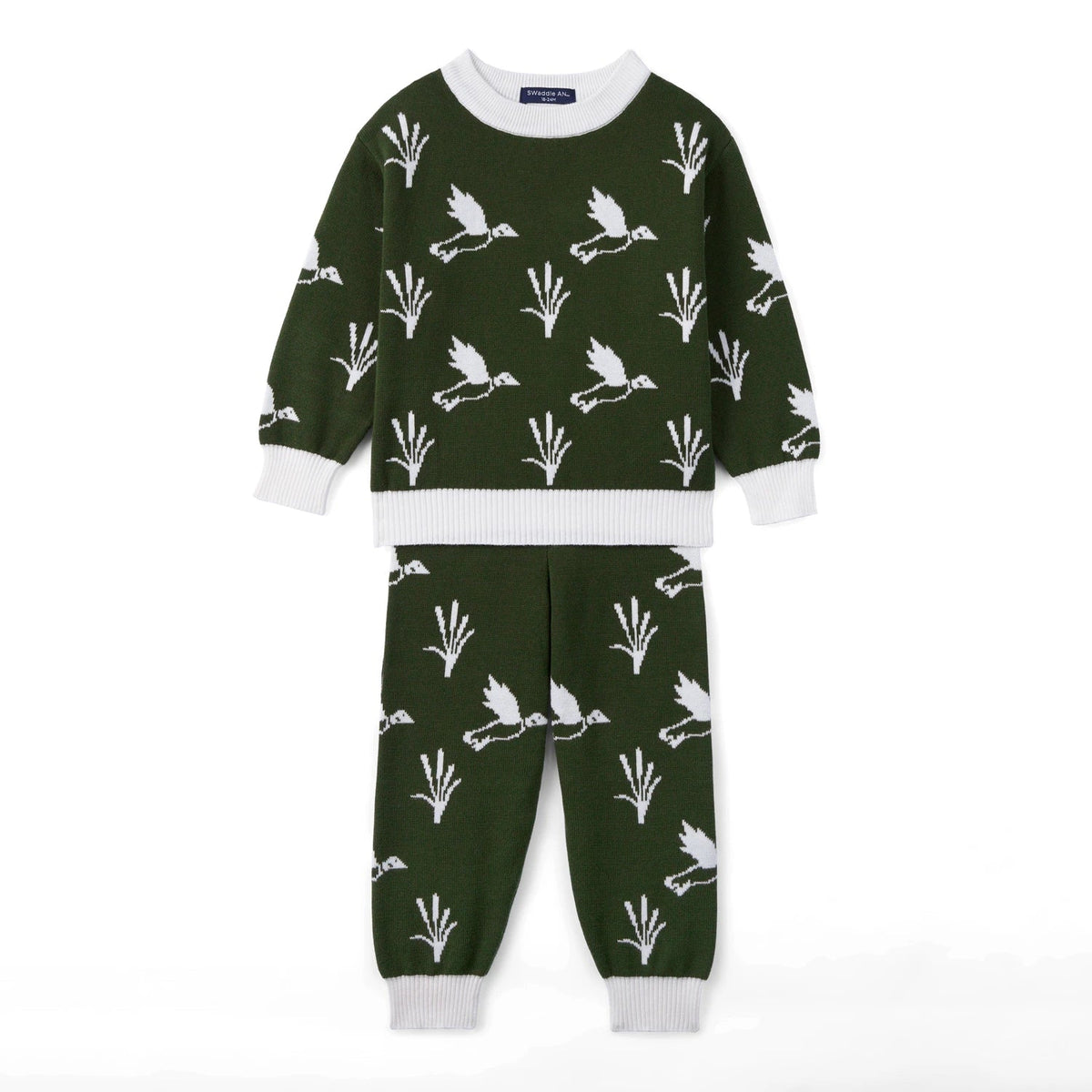 Kids dark green knit sweater and jogger pants set with white duck and plant print