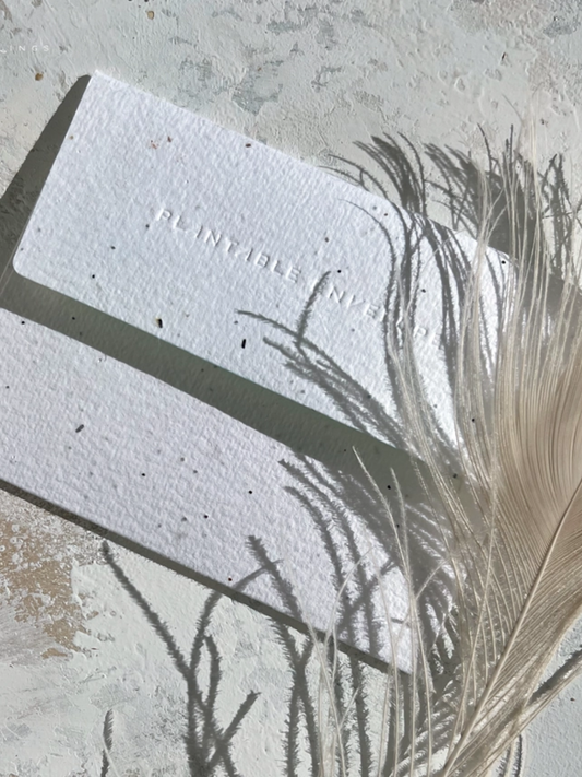 Seeded card with 'PLANT WELL' text and embedded seeds on textured paper