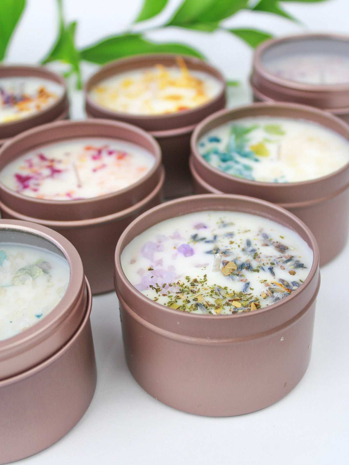 Assorted botanical soy wax candle tins; multiple open tops with herbs and dried petals