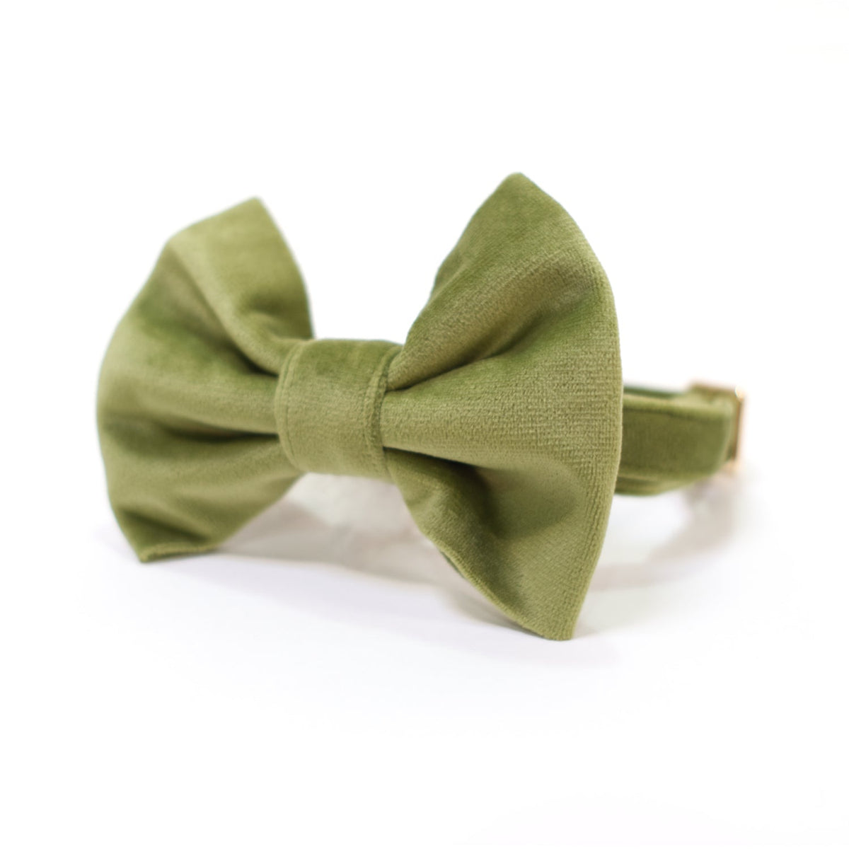 Olive green velvet dog bow tie with center knot