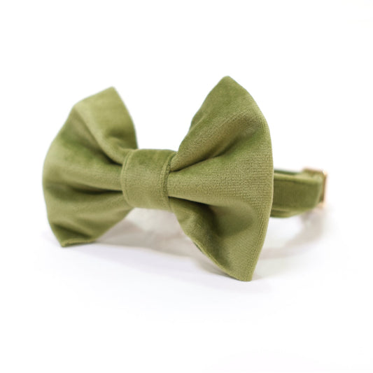 Olive green velvet dog bow tie with center knot