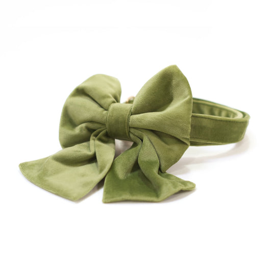 Green velvet dog collar with oversized sailor bow, matching fabric band