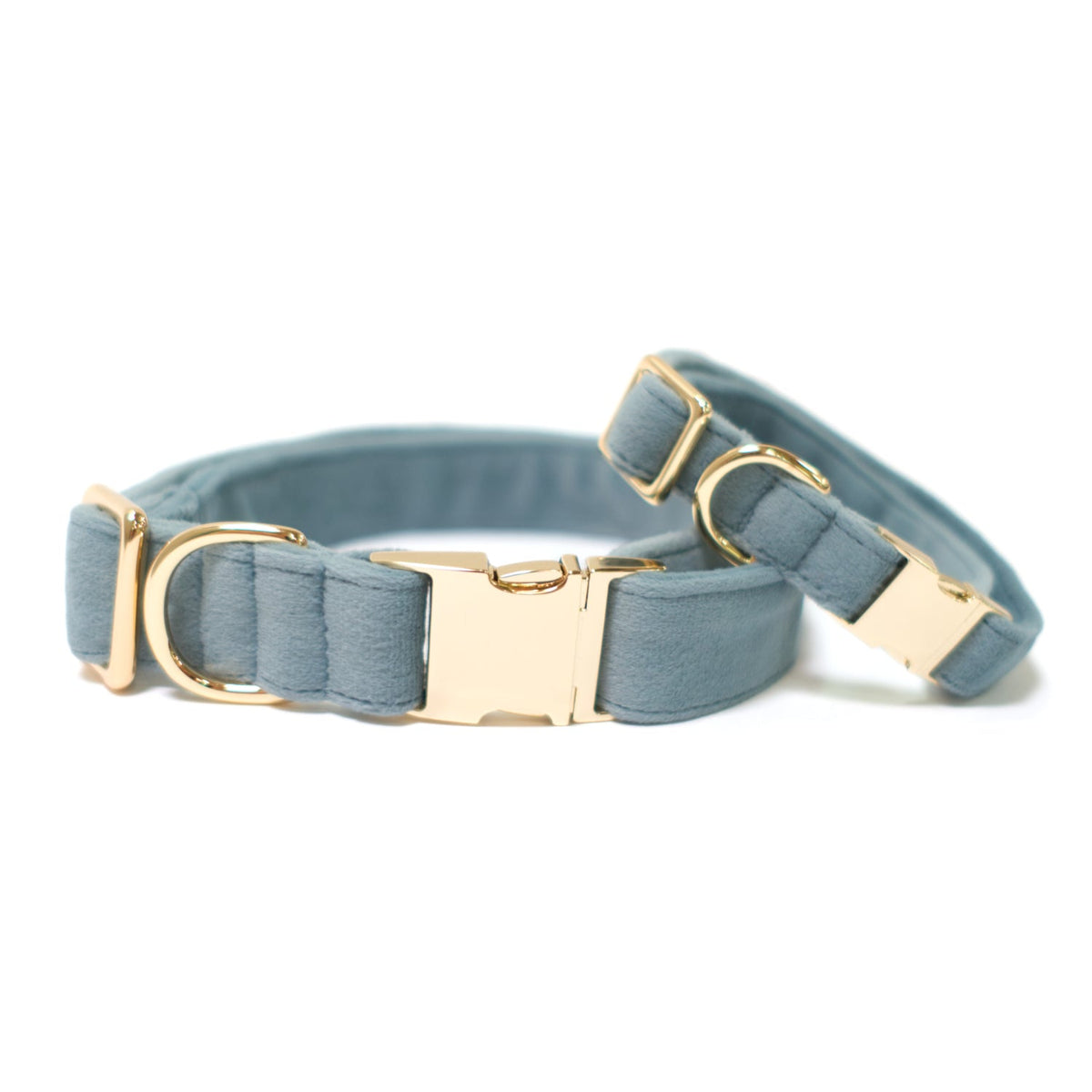 Teal velvet dog collar with gold buckle and D-ring