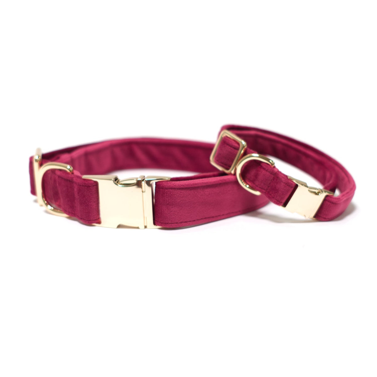 Mulberry velvet dog collar with gold hardware buckle