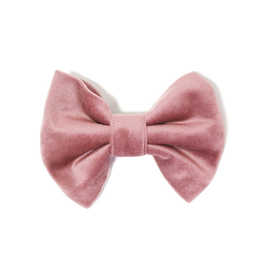 Blush pink velvet dog bow tie with centered band knot