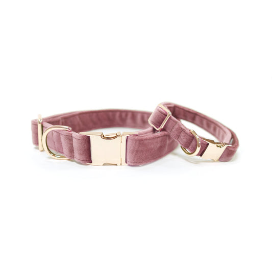 Rose-pink velvet classic dog collar with matching bow tie and gold-tone buckle