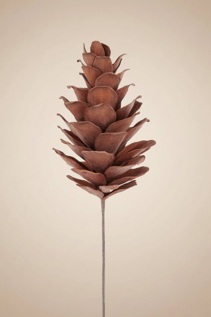 Brown pinecone pick with layered scales and a long stem