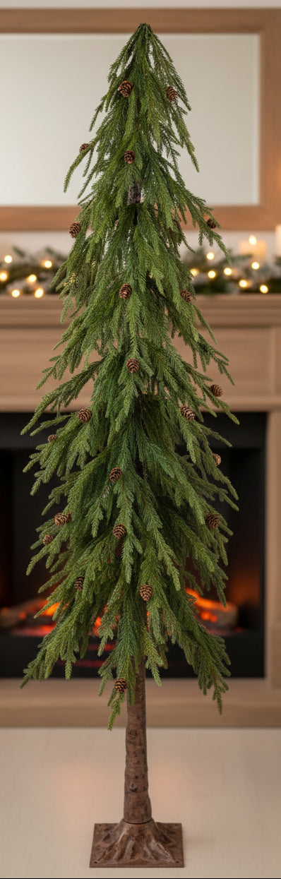 Ming slender pine tree with pinecones, sparse branches, and a square wood-look base
