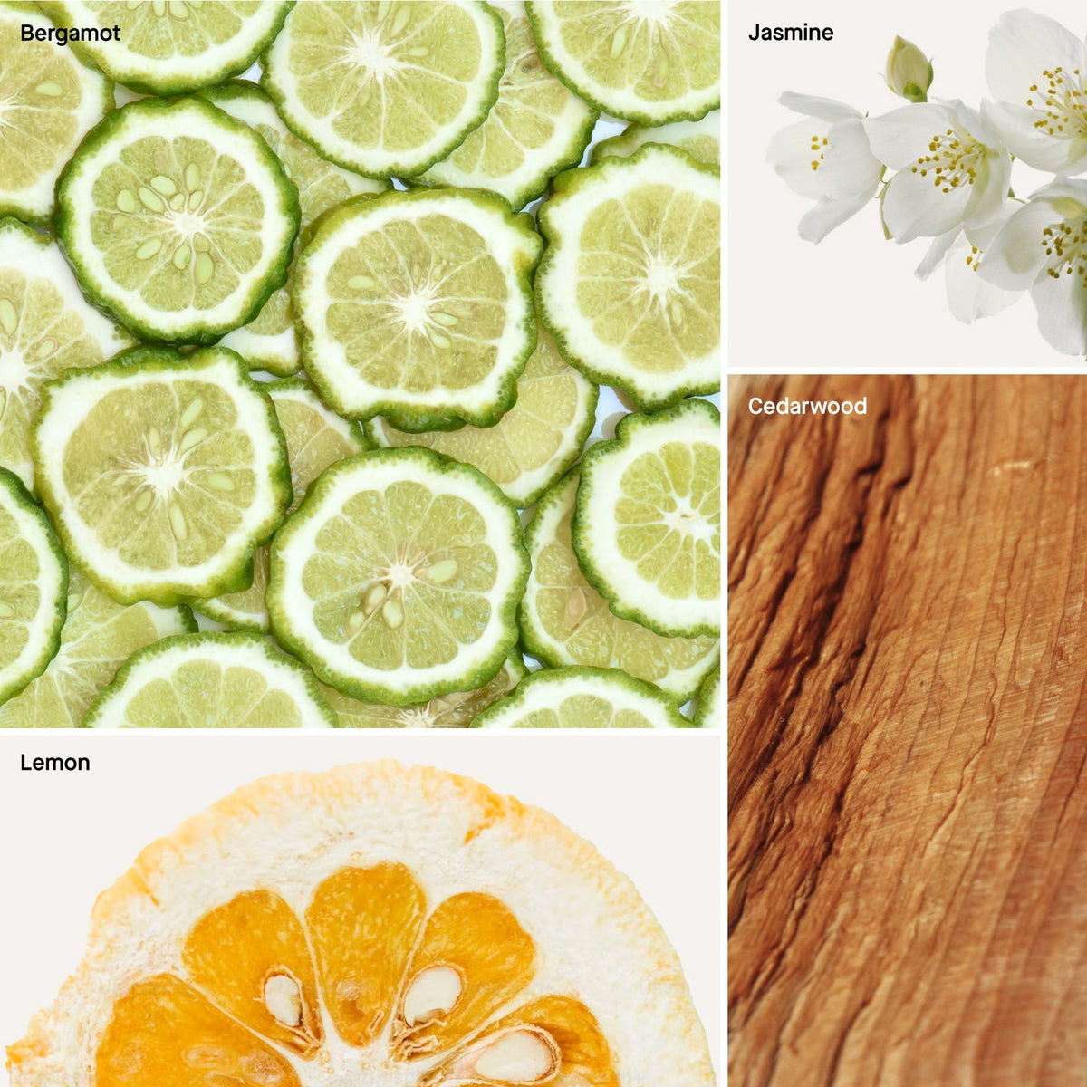 Citrus and floral scent ingredient collage: lime slices, jasmine flowers, cedarwood