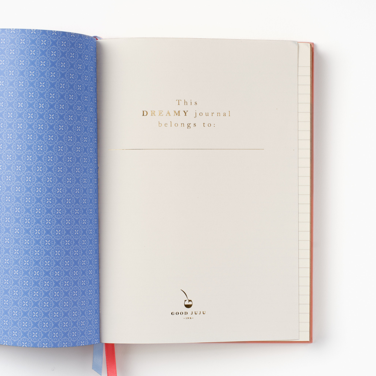 Hardcover notebook open to blank page with “This DREAMy journal belongs to:”