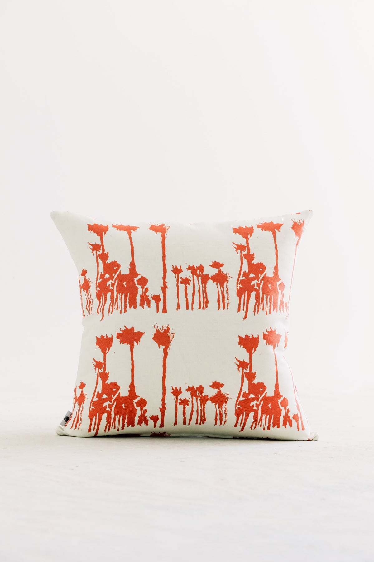 Avenida in Canyonlands Pillow