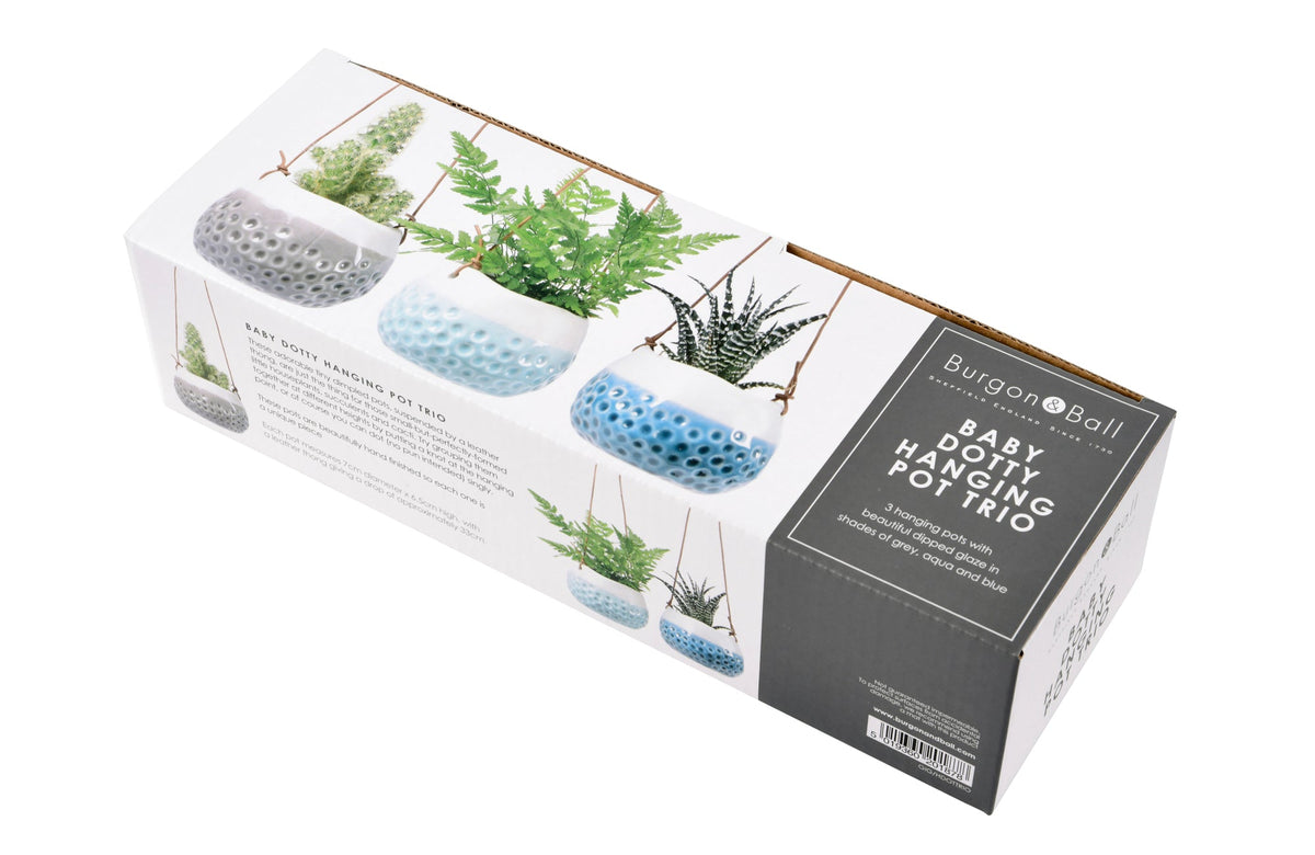 Burgon & Ball hanging baby dotty trio vases in retail packaging box with plant-filled vases.