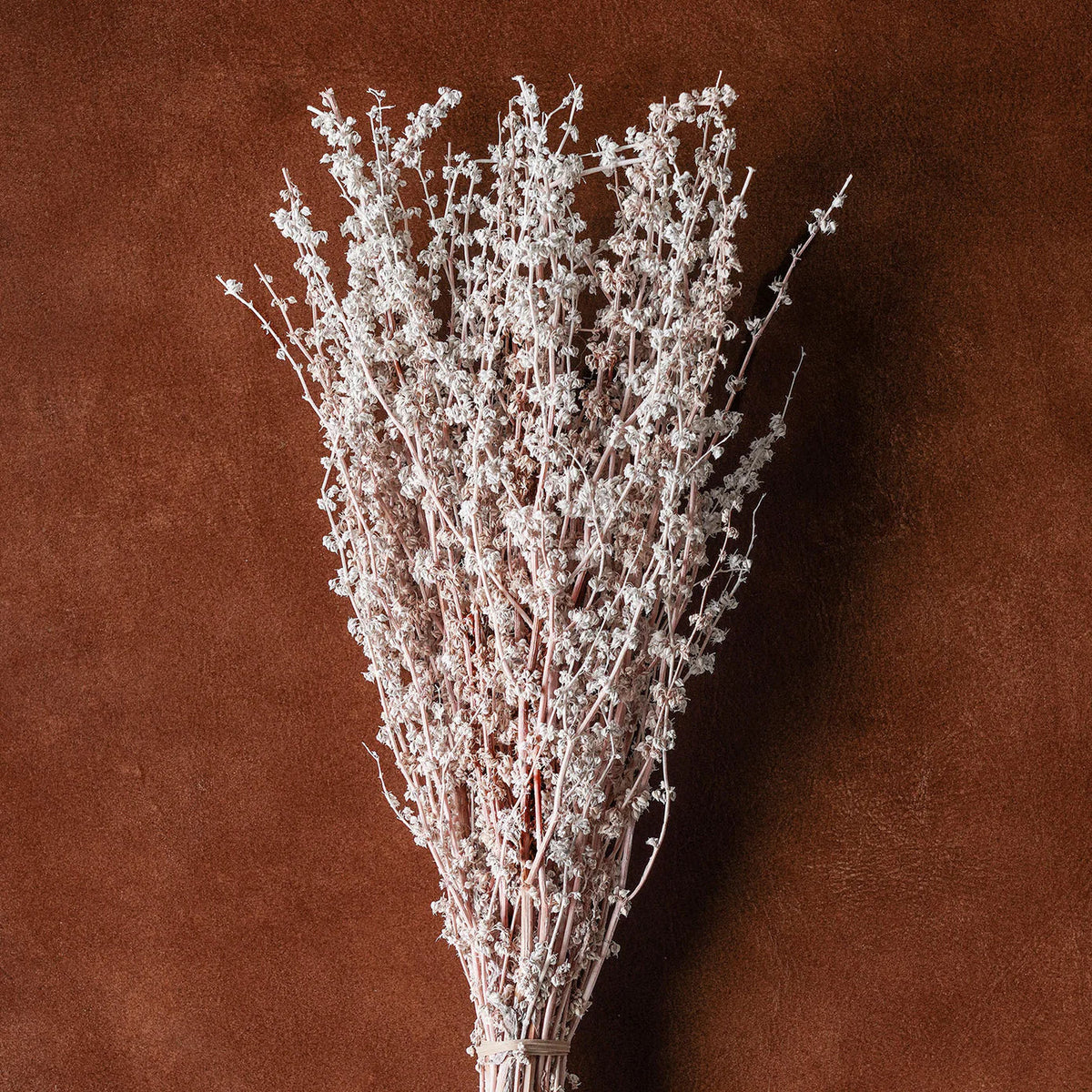 Dried floral and grasses bouquet with frosted white stems and tiny clustered heads