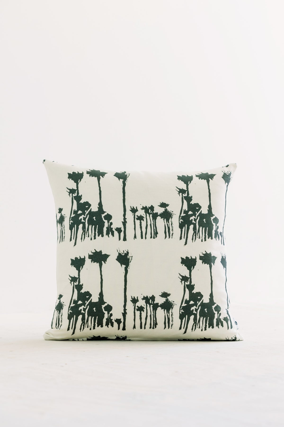 Avenida in Tabula Rasa Pillow