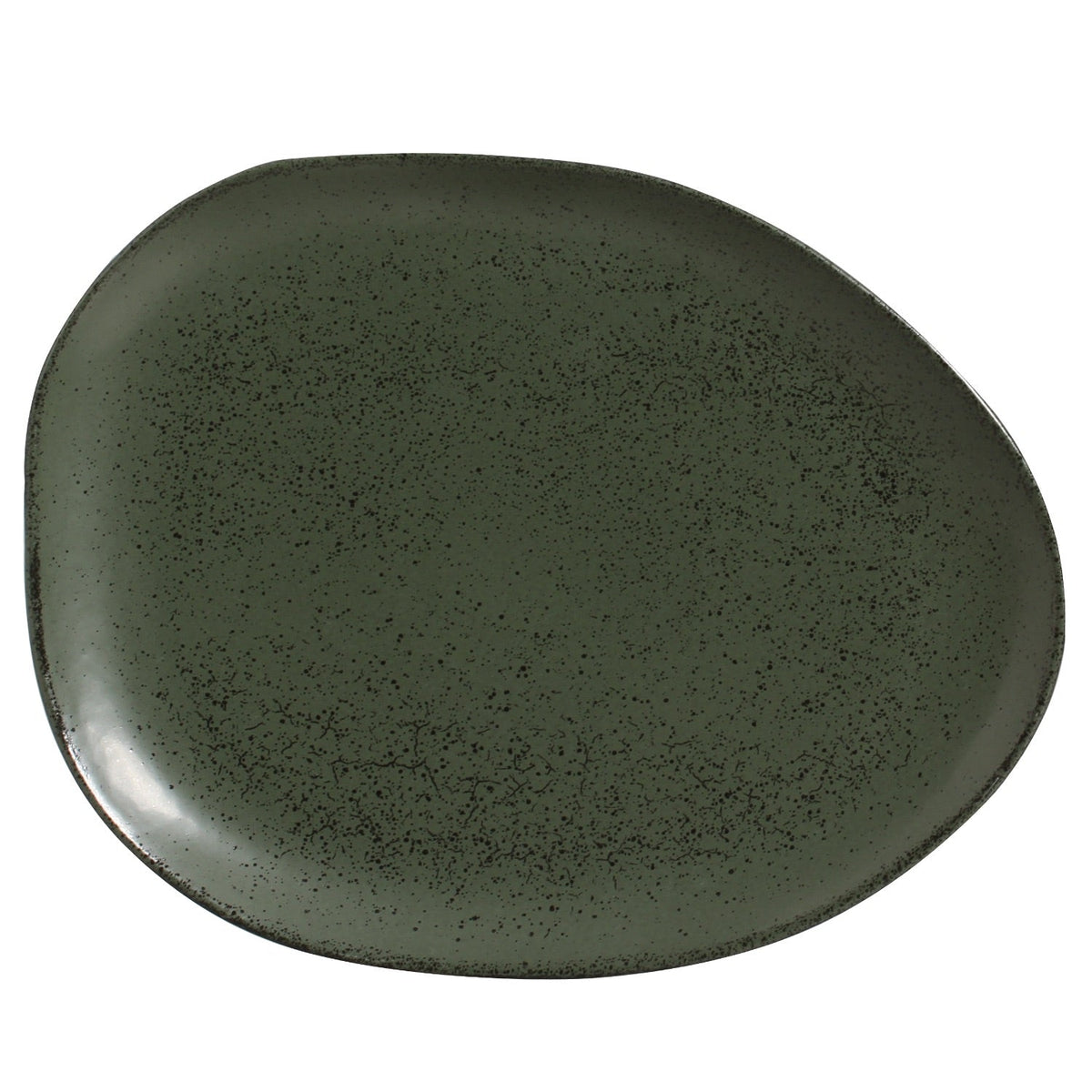 Oval Dinner Plate Set of 6