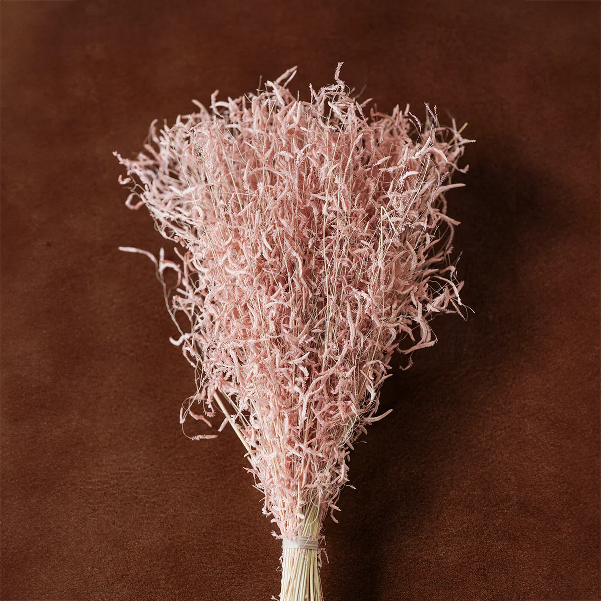 Dried floral and grasses bouquet with light pink, feathery stems tied at the base