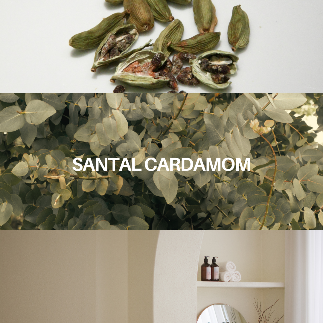 Santal Cardamom candle theme featuring scattered cardamom pods and leafy backdrop