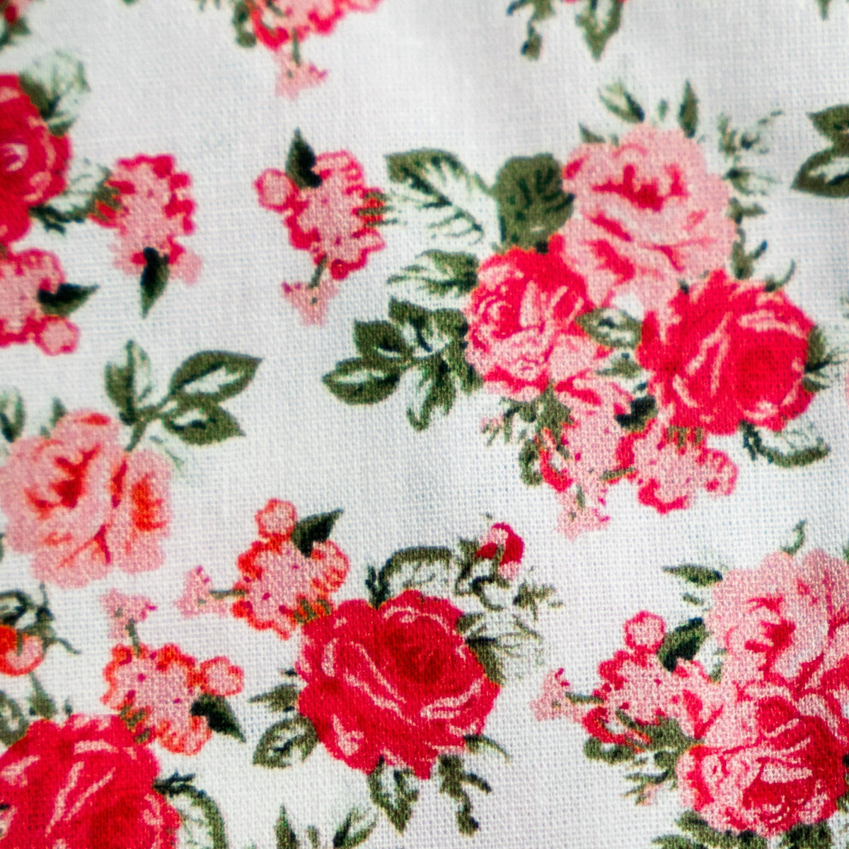 Floral rose fabric close-up with red and pink blooms on a light textured base
