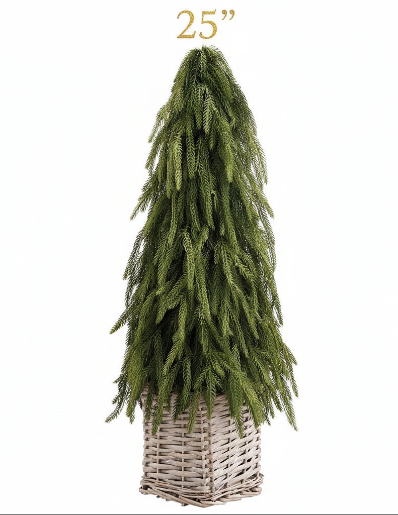 25-inch green cypress cone topiary in a woven basket