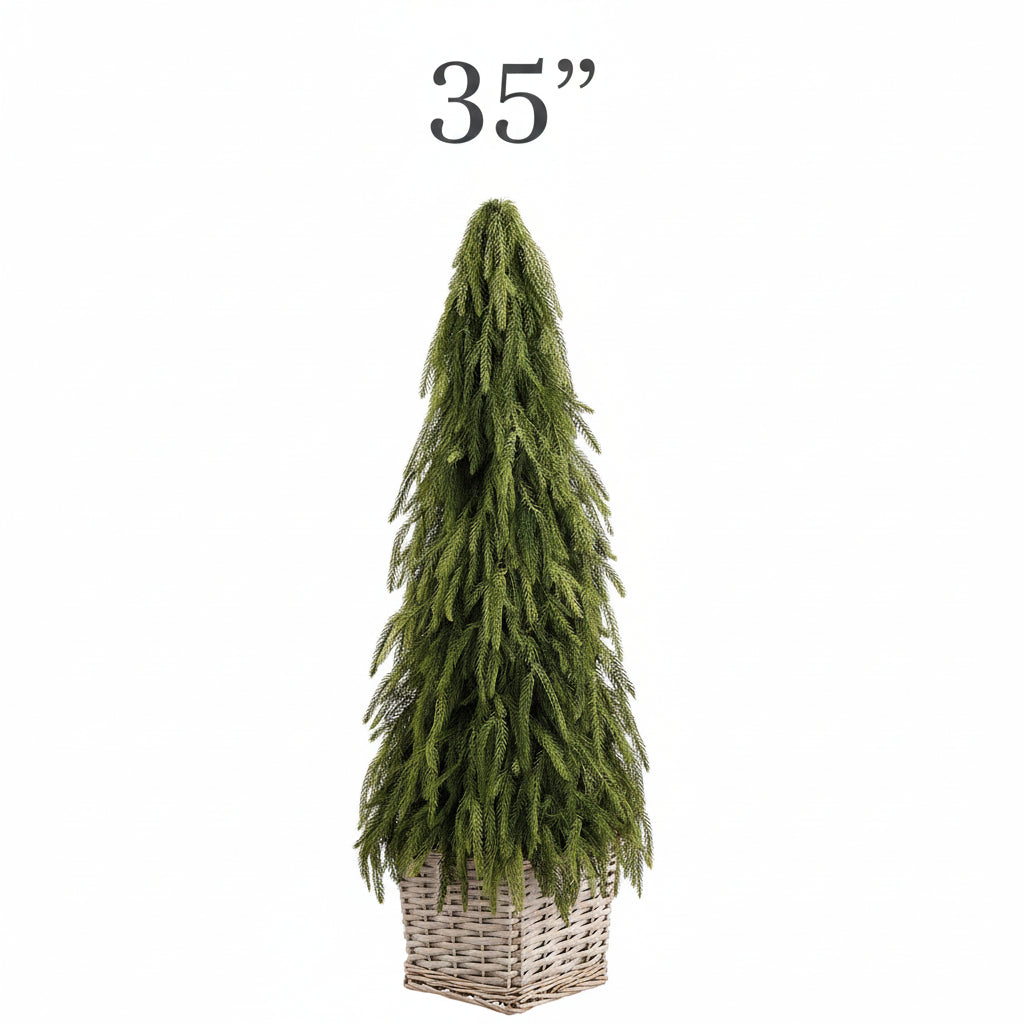 35-inch green cypress cone topiary in a woven basket