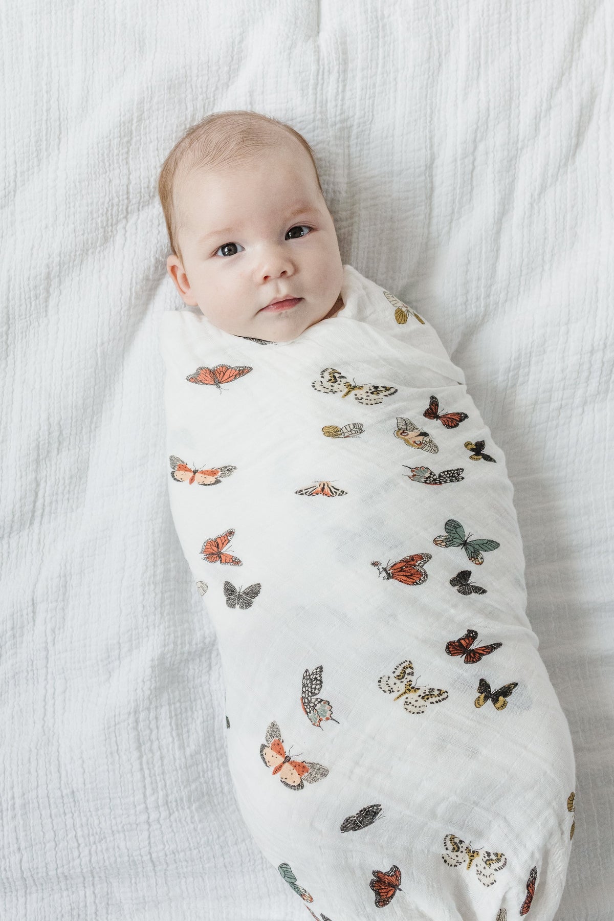 White muslin swaddle blanket with multicolor butterfly and insect print, wrapped baby