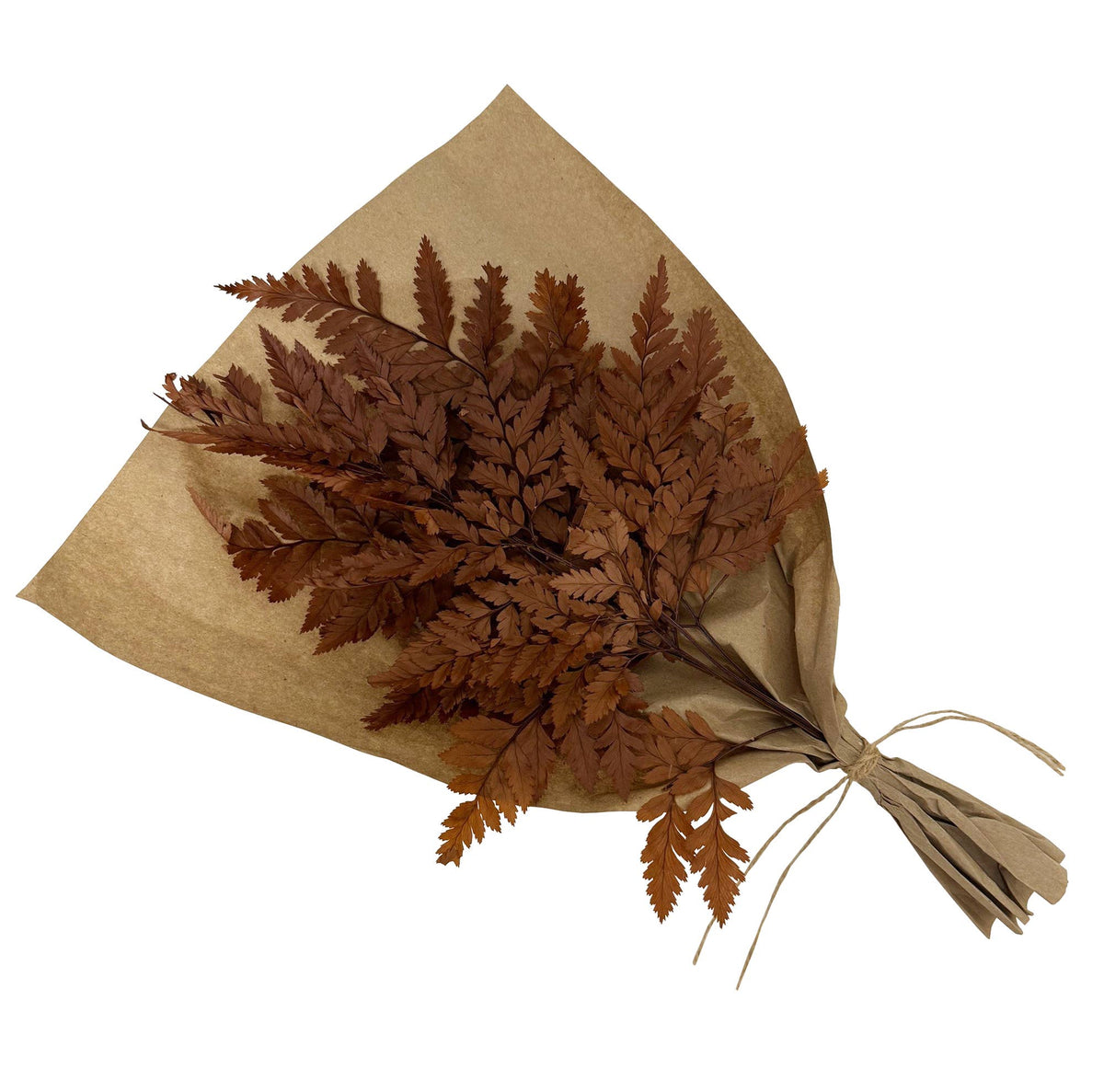 Dried mahogany leaves bouquet tied with twine, wrapped in kraft paper