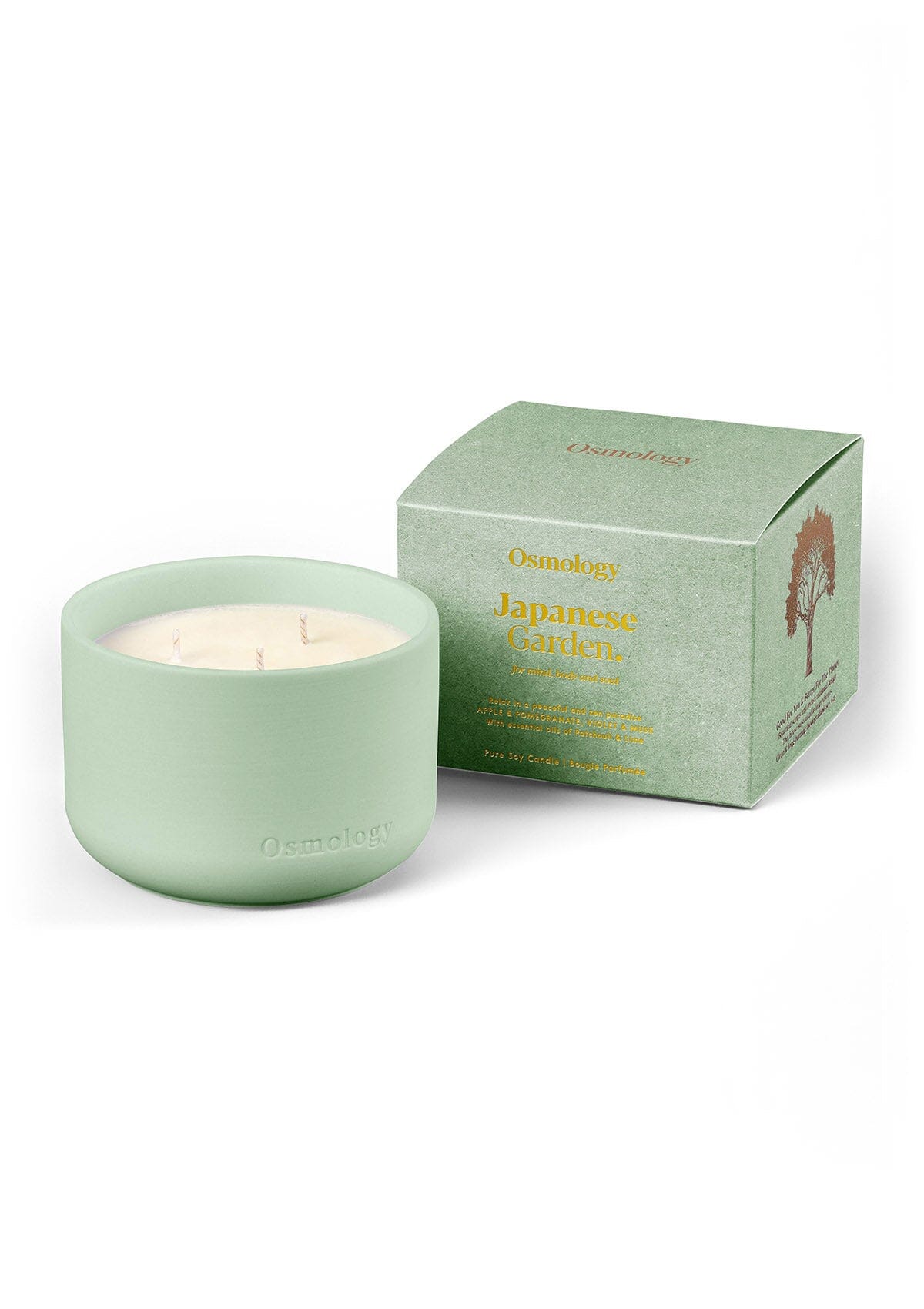Mint green triple-wick scented candle with lid-wick tops and Japanese Garden gift box