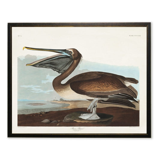 Framed brown pelican bird artwork in black-and-copper frame