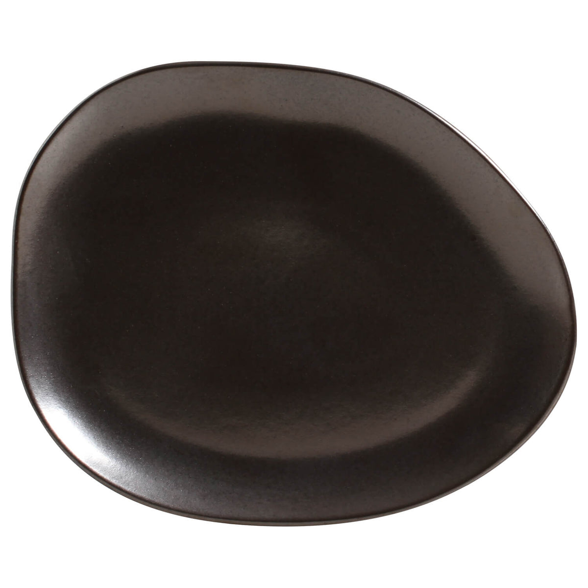 Oval Dinner Plate Set of 6