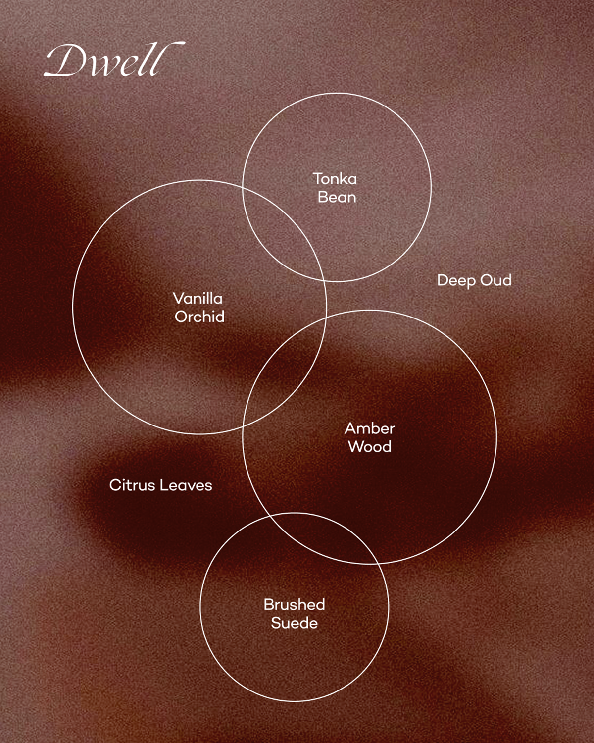 Scent notes diagram with circles: Vanilla Orchid, Amber Wood, Tonka Bean, Deep Oud