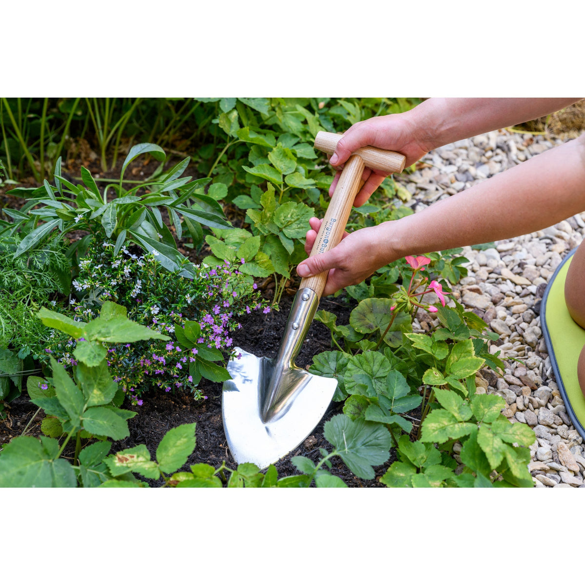Perennial spade shovel held by hands with stainless blade and wooden handle