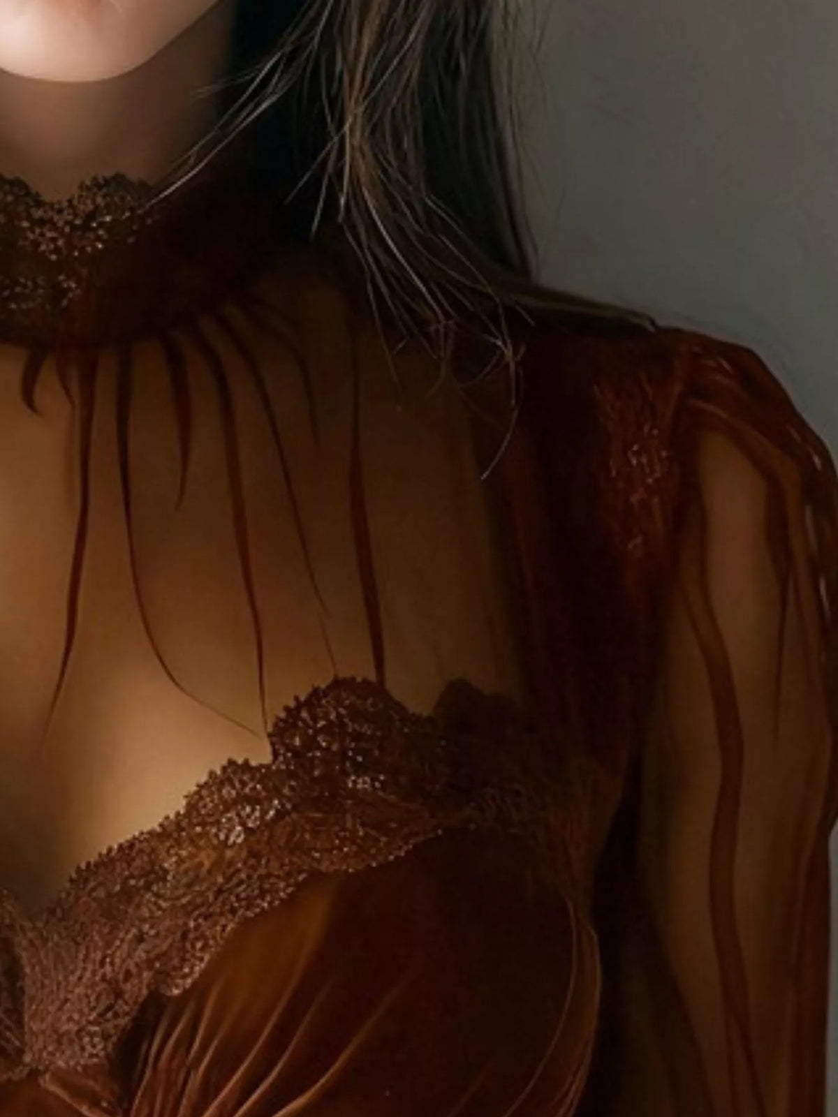 Romantic Velvet & Sheer Blouse
