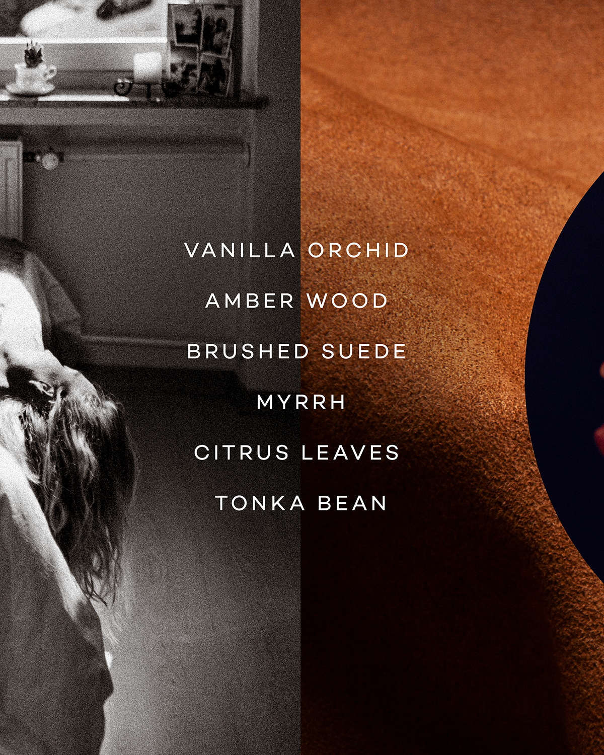 Typography graphic of scent notes: Vanilla Orchid, Amber Wood, Brushed Suede, Myrrh