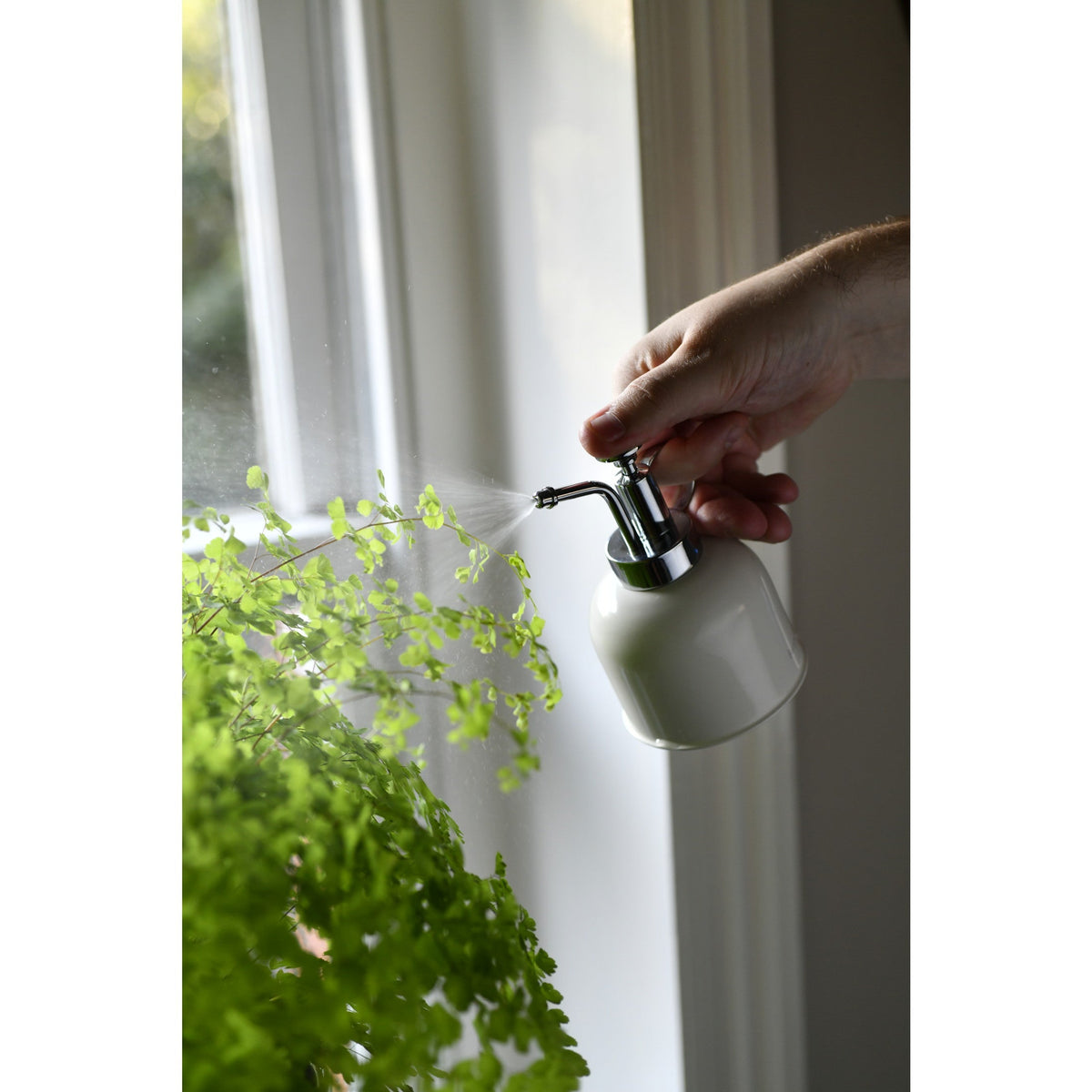 Hand holding chrome nozzle indoor plant mister over leafy plant