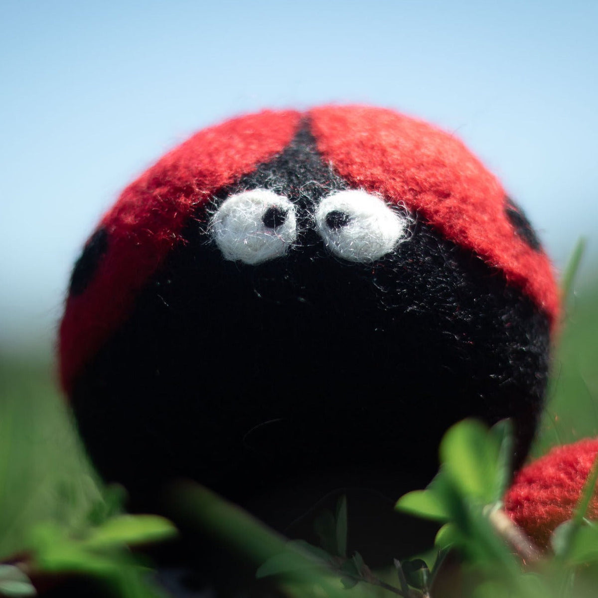 Close-up plush ladybug face with red wings, black body, and stitched white eyes