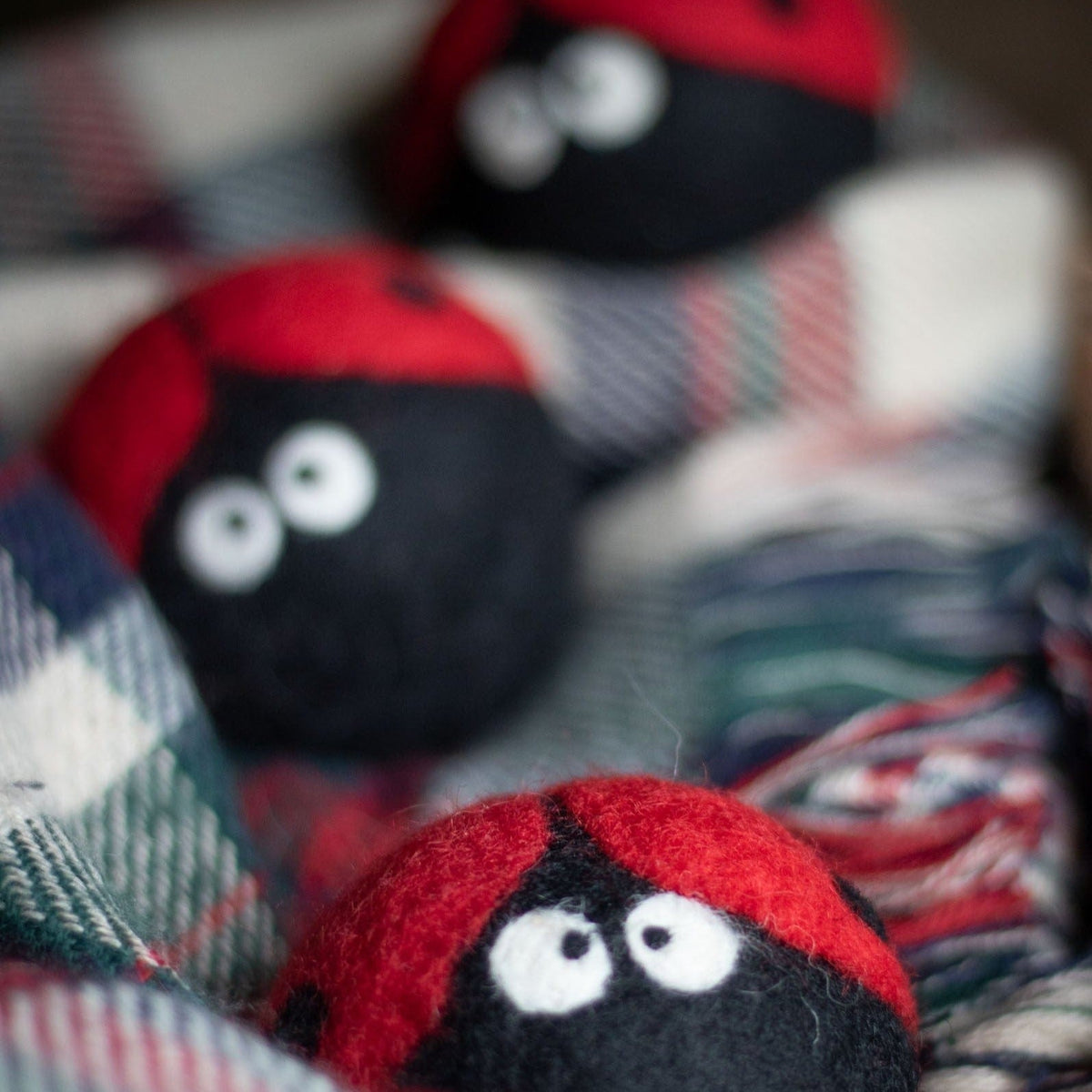 Single plush ladybug with red wings, black body, and white eyes on plaid fabric