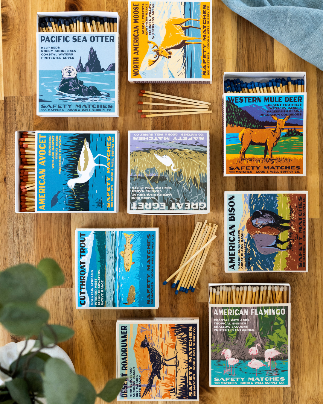 Assorted cabin safety match boxes with wildlife designs and matchsticks