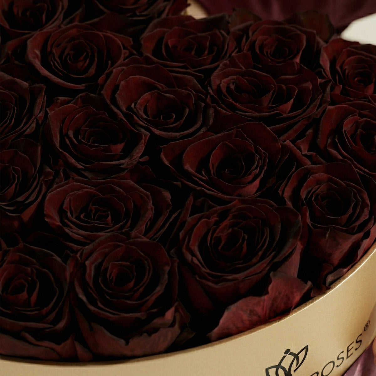 Close-up of burgundy rose blooms inside a gold gift box