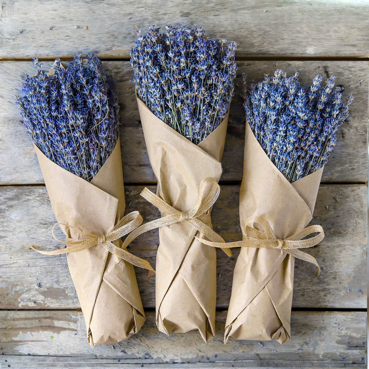 Dried lavender bundle in kraft paper wrap tied with twine, three bunches