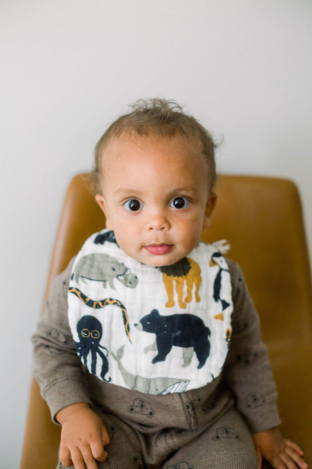 Baby wearing animal print bib featuring dog and black cat illustrations