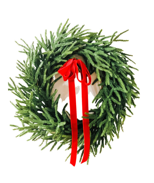 Norfolk pine winter wreath with bright red bow and hanging ribbon