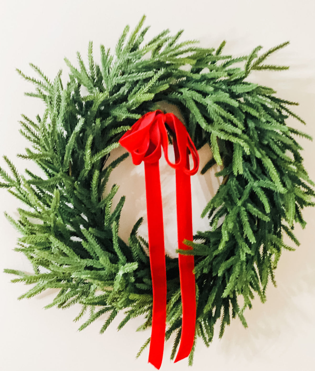 Norfolk pine winter wreath with red hanging bow ribbon