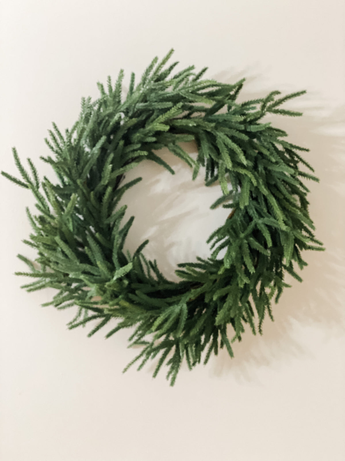Norfolk pine winter wreath with no ribbon