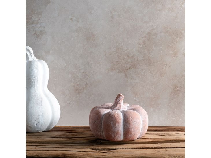 Small blush decorative pumpkin with ridged texture and curved stem