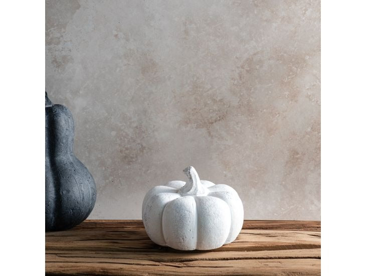Small white decorative pumpkin with ridged texture and curved stem