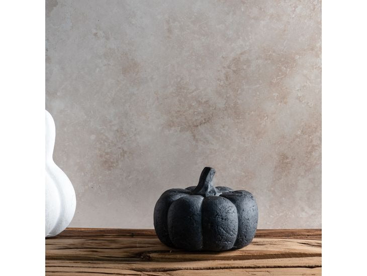 Small dark decorative pumpkin with ridged texture and curved stem