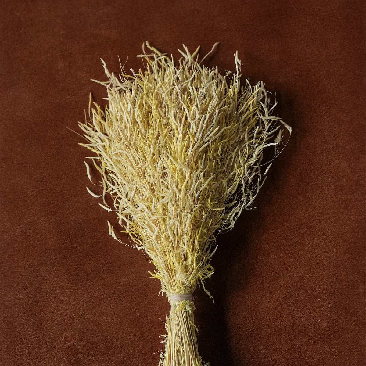 Dried floral and grasses bouquet with yellow-green feathery stems tied at the base