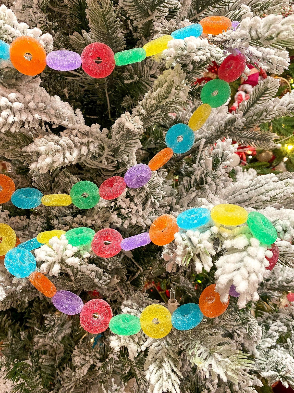 Multicolor bead string garland wrapped around evergreen tree branches