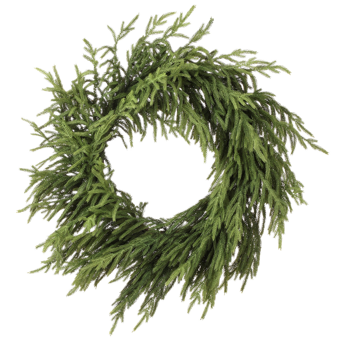 Green Norfolk pine wreath, full needle ring, close-up
