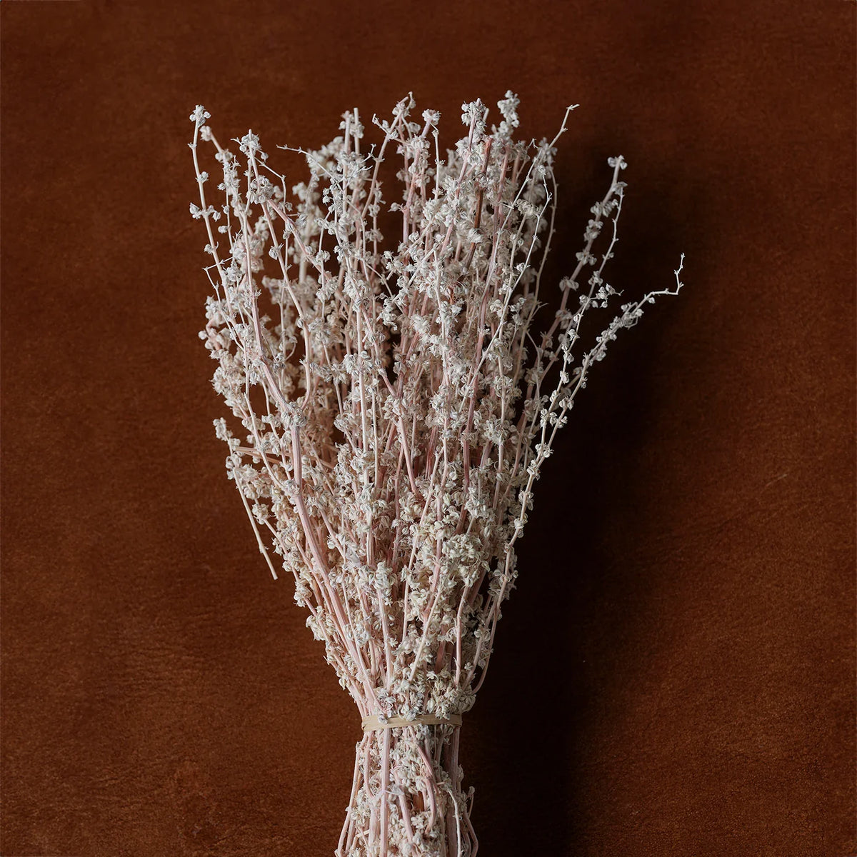 Dried floral and grasses bouquet with dense frosted white stems and small clustered blooms